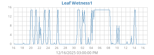 monthwetleaf
